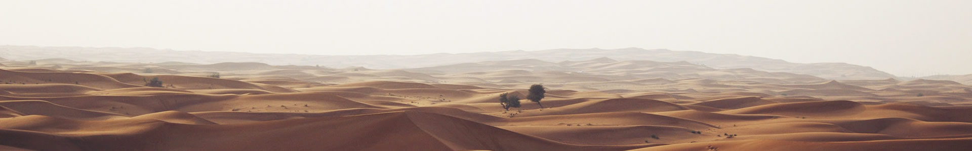 ƽƼ޹˾